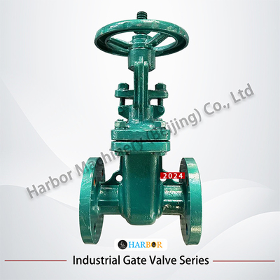 Valva de porta de escotilha revestida de PTFE de aço fundido manual com flange Z41F46-16C para tratamento de água