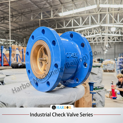 H42H-16/25C válvula de retenção de flanges de aço fundido, vertical e unidirecional, com suporte OEM