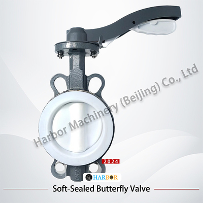 Geral PTFE totalmente revestido de aço fundido de dupla ação de manobra Wafer Butterfly Valve D71F4-16C