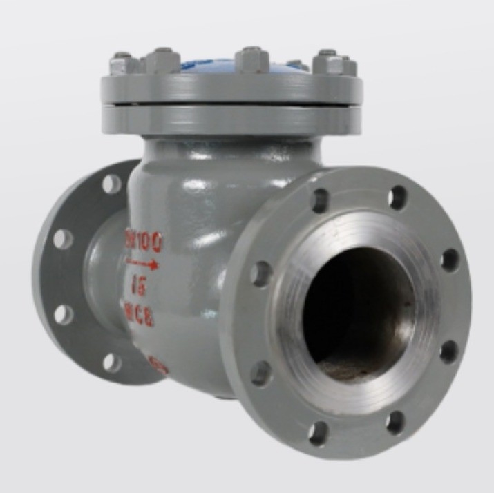 Válvula de verificação de flaps de borracha de cor personalizada com válvula de não retorno de flange H44H-16/25C